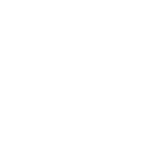 Cape Shark